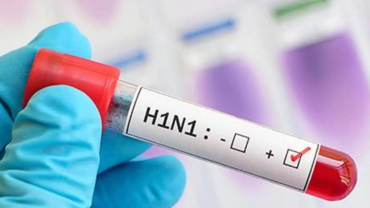 H1N1 flu continues to spread in India, but no new strain found: ICMR