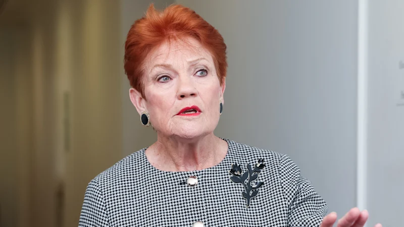 Six days later, Hanson still struggles to articulate migration policy