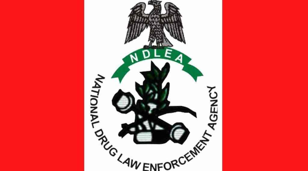 Court orders NDLEA to produce detained social media influencer, KC Luxury